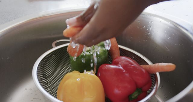 Washing Fresh Vegetables and Carrots in Kitchen - Download Free Stock Images Pikwizard.com