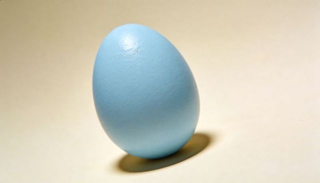 Pale blue egg tilting on beige backdrop with soft cast shadow minimalist still life