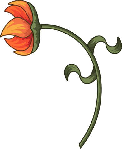 transparent drooping orange flower with curled green stem - Download Free Stock Videos Pikwizard.com