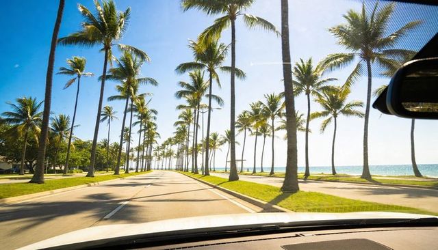 Driving palm-lined oceanfront boulevard under bright blue sky