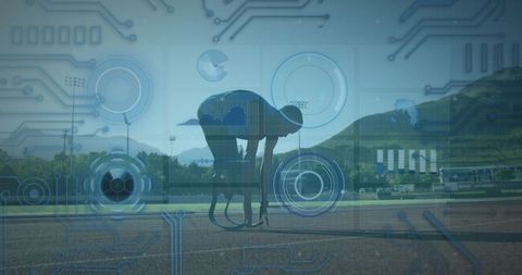 Disabled African American Male Runner Ready for Sprint with Digital Overlay