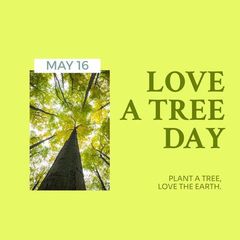 love a tree day celebration with majestic tree - Download Free Stock Templates Pikwizard.com