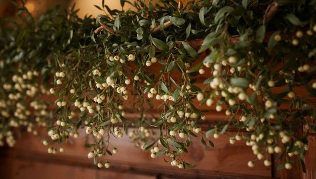 Draping evergreen garland with white berries on wooden mantel for holiday decor