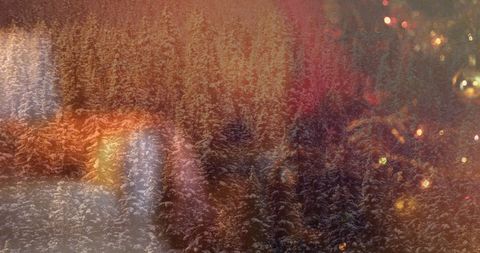 Christmas Lights Over snowy Forest Scenery