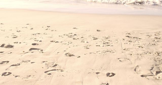 Footprints on Sandy Beach Near Shoreline - Download Free Stock Images Pikwizard.com