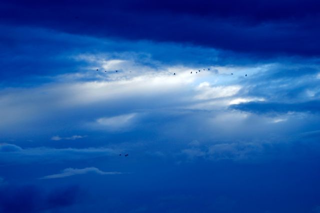 Dramatic twilight sky with dark clouds and birds flying offers a captivating and moody atmosphere. Perfect for use in themes related to weather, nature, tranquility, and environmental beauty. Suitable for backgrounds, wallpapers, or elements in artistic and creative projects.