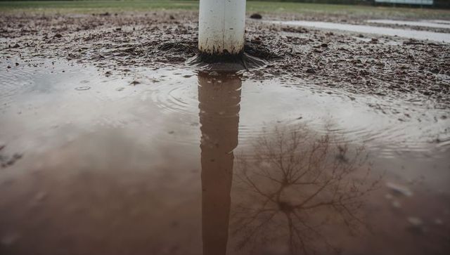 White post sinking into muddy field with reflective puddle and bare tree reflection