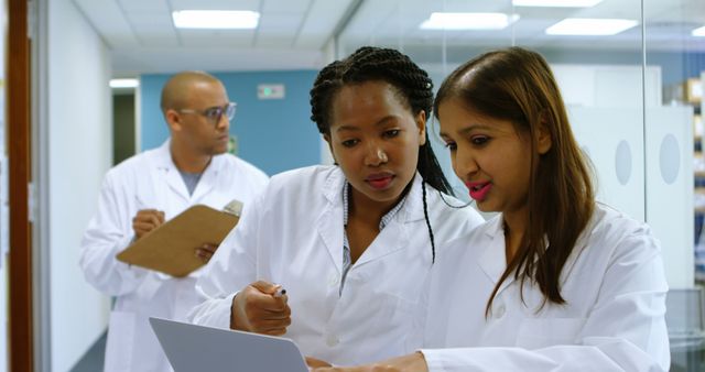 Diverse Group of Scientists Collaborating in Laboratory - Download Free Stock Images Pikwizard.com