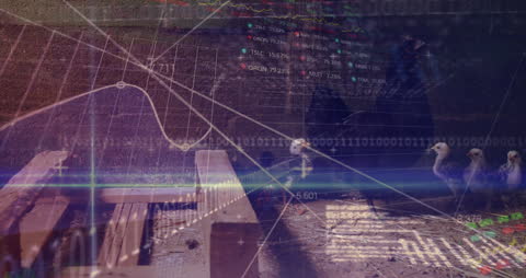 Digital Interface Overlay on Henhouse Scene