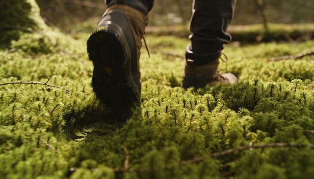 Hiker walking on lush moss trail leaving boot print in sunlit forest