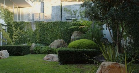 Modern courtyard with lush lawn and trimmed hedges at contemporary home