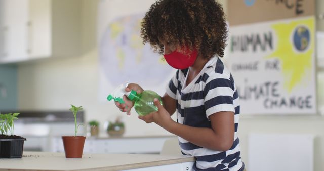 Child Taking Care of Plant in Classroom Environment - Download Free Stock Images Pikwizard.com