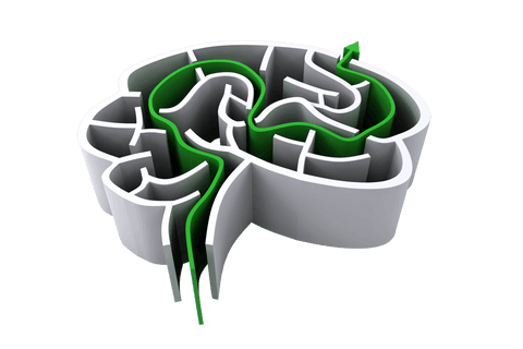 transparent brain maze vector illustration with path - Download Free Stock Videos Pikwizard.com