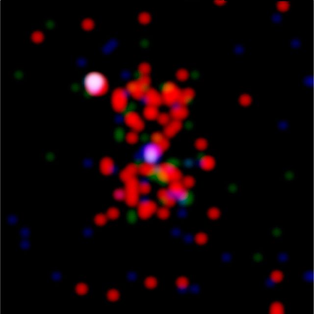 This most distant x-ray cluster of galaxies yet has been found by astronomers using Chandra X-ray Observatory (CXO). Approximately 10 billion light-years from Earth, the cluster 3C294 is 40 percent farther than the next most distant x-ray galaxy cluster. The existence of such a faraway cluster is important for understanding how the universe evolved. CXO's image reveals an hourglass-shaped region of x-ray emissions centered on the previously known central radio source (seen in this image as the blue central object) that extends outward for 60,000 light- years. The vast clouds of hot gas that surround such galaxies in clusters are thought to be heated by collapse toward the center of the cluster. Until CXO, x-ray telescopes have not had the needed sensitivity to identify such distant clusters of galaxies. Galaxy clusters are the largest gravitationally bound structures in the universe. The intensity of the x-rays in this CXO image of 3C294 is shown as red for low energy x-rays, green for intermediate, and blue for the most energetic x-rays. (Photo credit: NASA/loA/A. Fabian et al)