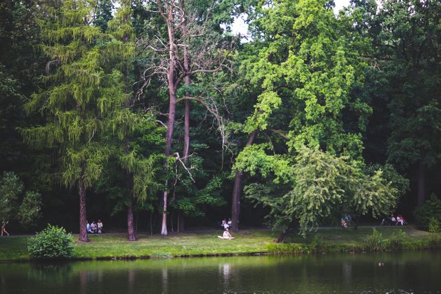 People are enjoying a peaceful day in a forest park next to a pond filled with lush greenery. This serene scene is perfect for promoting outdoor activities, nature retreats, ecological campaigns, or parks and recreation services.