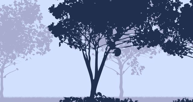 Image shows silhouette of several trees with dense foliage against a misty background. Tree branches and leaves create a striking contrast with the lighter backdrop, suggesting early morning or evening. Suitable for use in environmental projects, wallpaper, backgrounds for presentations, or nature-themed materials.