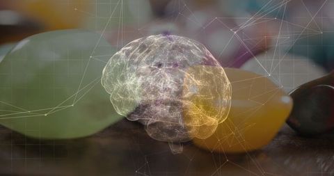 Translucent brain hologram representing neural connections and innovation