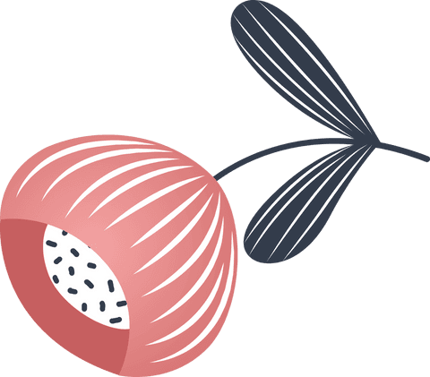 Pink Flower Illustration on Transparent Background