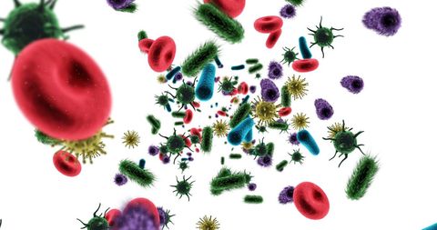 Microscopic View of Blood Cells and Bacteria in Motion - Download Free Stock Images Pikwizard.com
