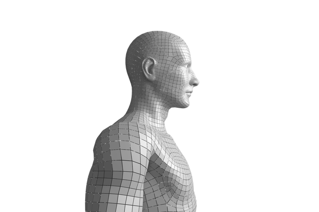 Digital 3D Model Illustration of Human on Transparent Background - Download Free Stock Videos Pikwizard.com