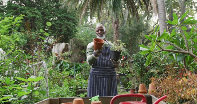 Elderly man actively engaged in gardening amidst lush greenery in a tropical garden. He holds a pot with one hand and a plant with another, surrounded by various gardening supplies and plants. The serene and natural setting ideal for promoting healthy living, gardening hobbies, retirement activities, and nature preservation themes.