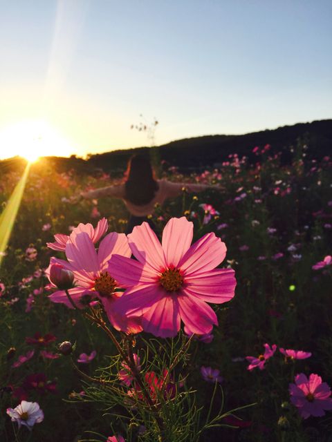 Woman standing amidst a field of blooming flowers during sunset, embracing nature's beauty. Ideal for concepts related to tranquility, freedom, nature therapy, and outdoor activities.