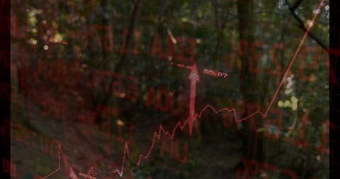 Red stock market chart overlaying forest canopy with upward arrow 55.07