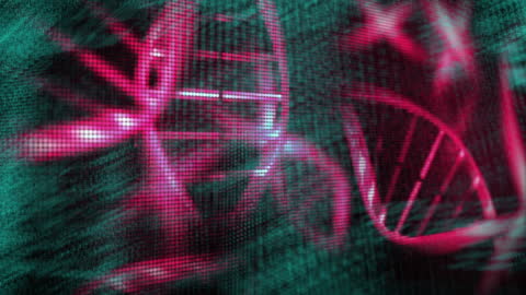 High-Tech Representation of Digital DNA and Data Integration