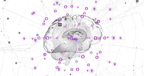 Translucent brain revealing cortical network with purple neural nodes and connectivity
