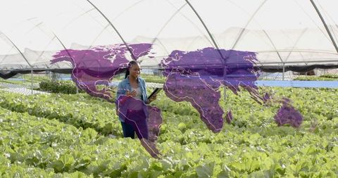 Innovative agronomist analyzing greenhouse crops with digital map