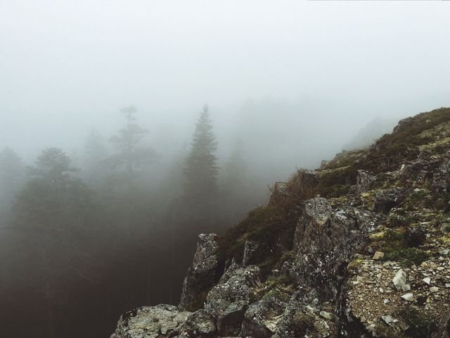 Moody Landscape of Foggy Mountain Hillside - Download Free Stock Images Pikwizard.com