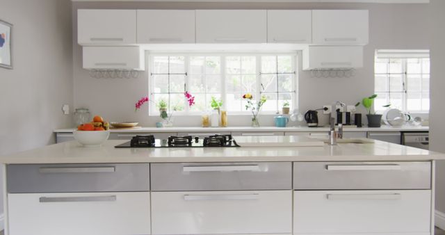 Image of modern and bright kitchen. Interior design, modern interiors, domestic life and lifestyle concept.
