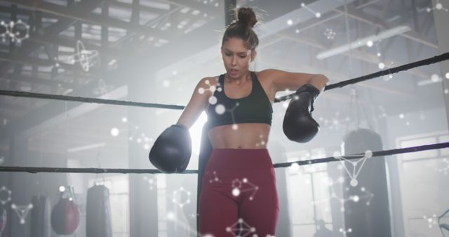 Female Boxer Relaxing in Ring Amidst Virtual Network Graphics - Download Free Stock Images Pikwizard.com