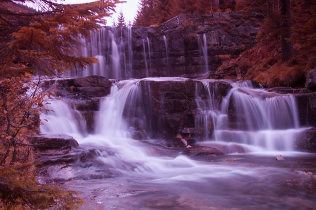 Serene Forest Waterfall with Cascading Water - Download Free Stock Photos Pikwizard.com
