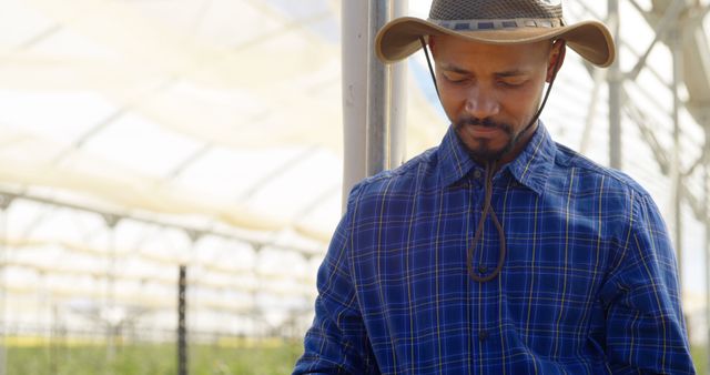 A middle-aged Asian farmer in a blue plaid shirt and cowboy hat focuses on his work in a greenhouse, with copy space. His expression reflects concentration and dedication to agriculture.