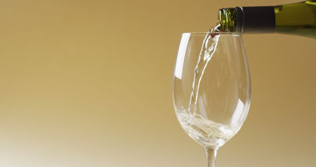 White Wine Being Poured into Glass on Plain Background - Download Free Stock Images Pikwizard.com
