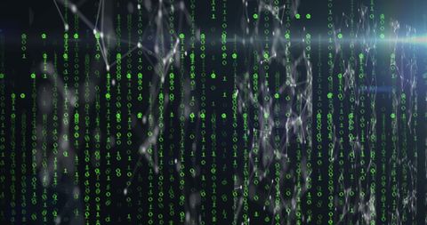 Binary Code and Network Connection Digital Background - Download Free Stock Images Pikwizard.com