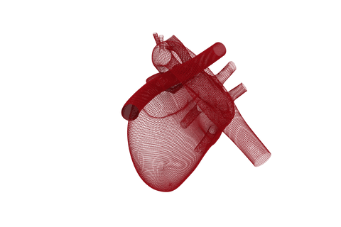 transparent 3d human heart black background - Download Free Stock Videos Pikwizard.com
