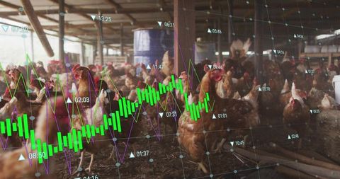 Poultry farm monitoring with real-time data visualization and candlestick analytics