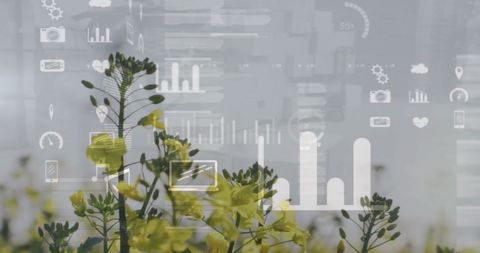 Visualizing Ecosystem Growth with Data in Flower Field - Download Free Stock Images Pikwizard.com
