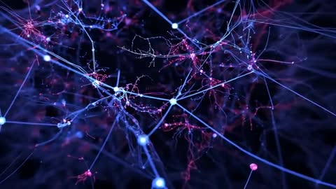 Expanding Network Visualizing Digital Connections