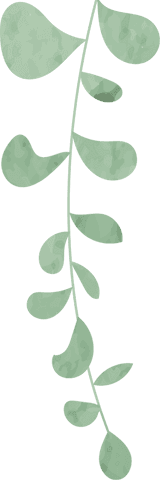 stylized green vine branch with flowing leaves and transparent background - Download Free Stock Videos Pikwizard.com