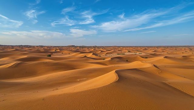 Sunlit orange-gold sand dunes stretching to horizon, rippled textures and sparse shrubs