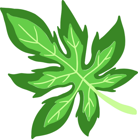 eco-friendly green leaf illustration on transparent background - Download Free Stock Videos Pikwizard.com