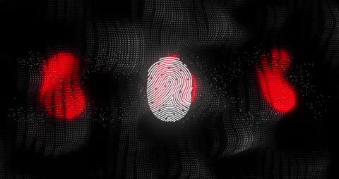 Digital Fingerprint Security with Cyber Data Effects