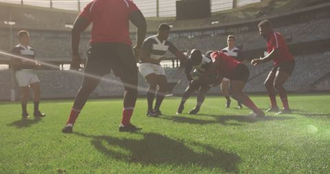 Rugby players engaged in an electrifying match on a grassy field within a large stadium; sunlight enhances the atmosphere conveying determination and teamwork. Useful for advertising and promoting sportsmanship, athletic events, outdoor team sports, and diversity in sports organizations.