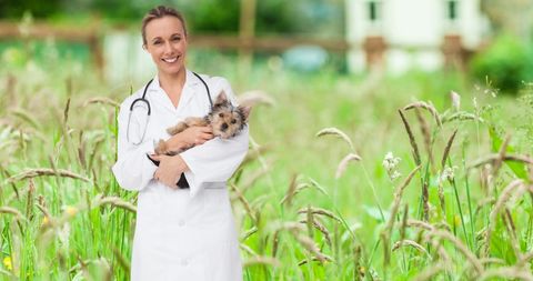 Smiling female veterinarian holding yorkshire terrier in green garden