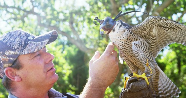 A falconer attentively engages with his majestic bird of prey. - Download Free Stock Photos Pikwizard.com