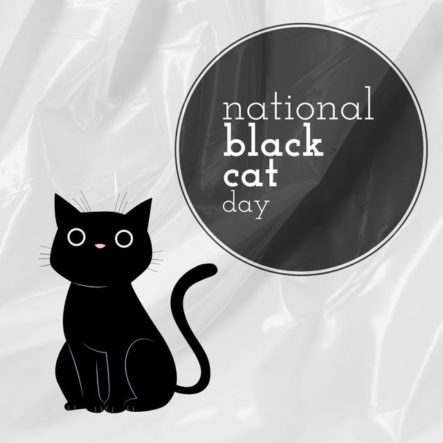 Image of black cat day over black cat on grey background. Animals, pets and cat day concept.