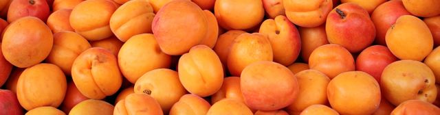 Close-Up of Fresh Ripe Apricots in Abundance - Download Free Stock Photos Pikwizard.com